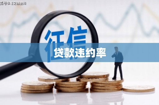 繁昌贷款违约率