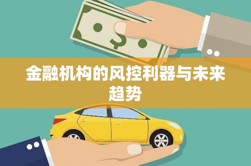 繁昌金融机构的风控利器与未来趋势
