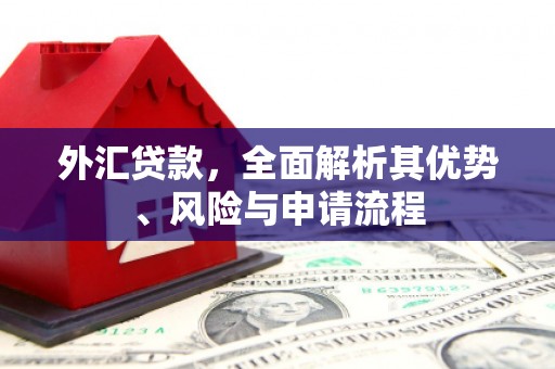 繁昌外汇贷款，全面解析其优势、风险与申请流程