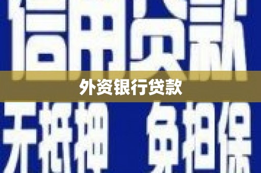 繁昌外资银行贷款