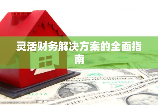 繁昌灵活财务解决方案的全面指南