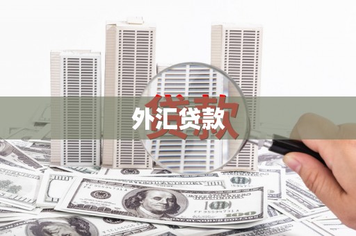 繁昌外汇贷款