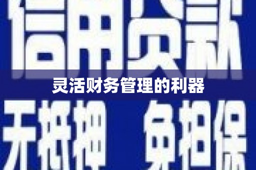 繁昌灵活财务管理的利器