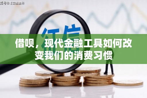 繁昌借呗，现代金融工具如何改变我们的消费习惯