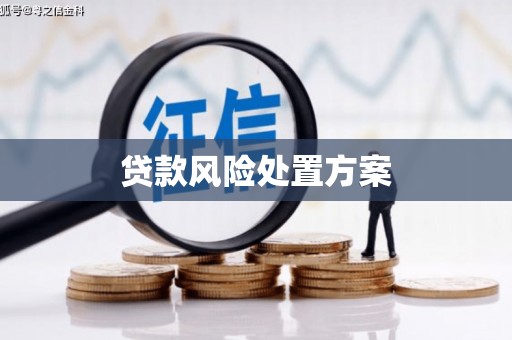 繁昌贷款风险处置方案