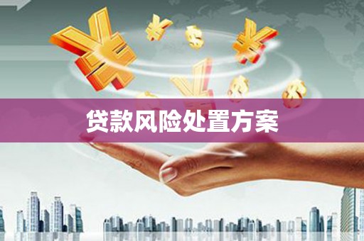 繁昌贷款风险处置方案