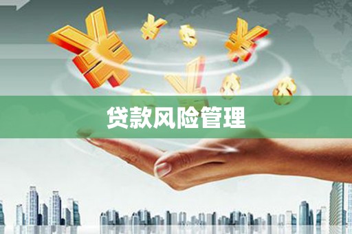 繁昌贷款风险管理