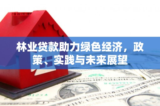 繁昌林业贷款助力绿色经济，政策、实践与未来展望