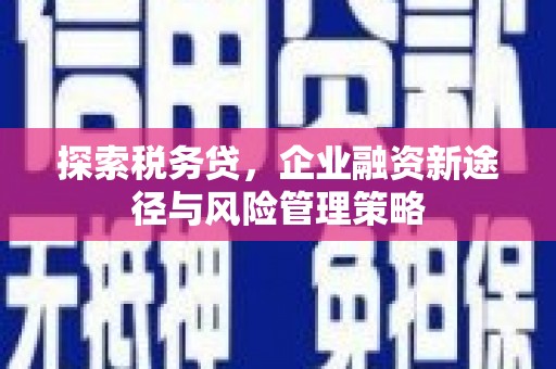 繁昌探索税务贷，企业融资新途径与风险管理策略