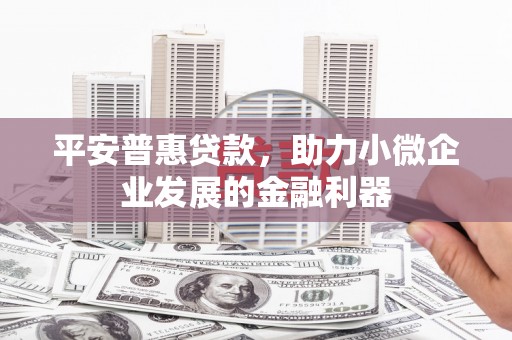 繁昌平安普惠贷款，助力小微企业发展的金融利器
