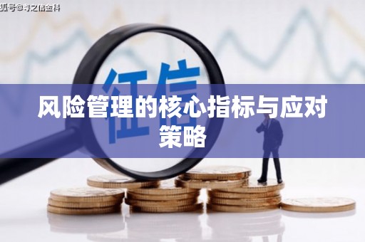 繁昌风险管理的核心指标与应对策略