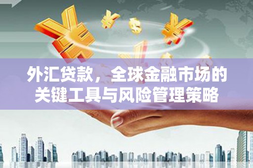 繁昌外汇贷款，全球金融市场的关键工具与风险管理策略