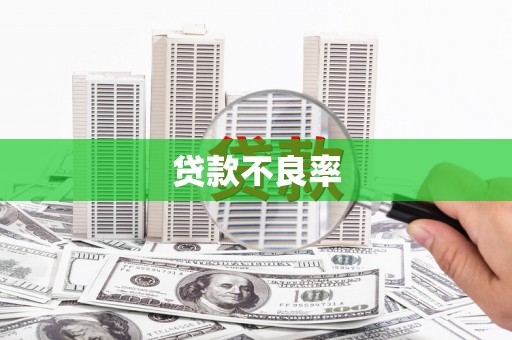 繁昌贷款不良率
