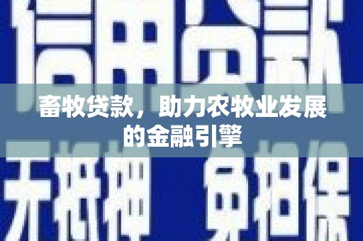 繁昌畜牧贷款，助力农牧业发展的金融引擎