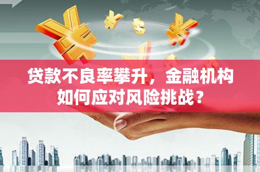 繁昌贷款不良率攀升，金融机构如何应对风险挑战？