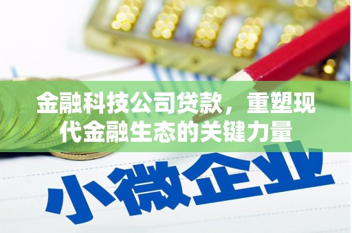 繁昌金融科技公司贷款，重塑现代金融生态的关键力量