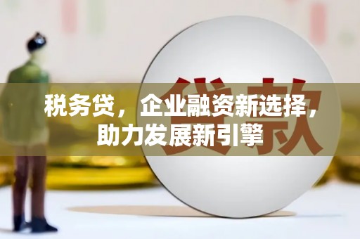 繁昌税务贷，企业融资新选择，助力发展新引擎