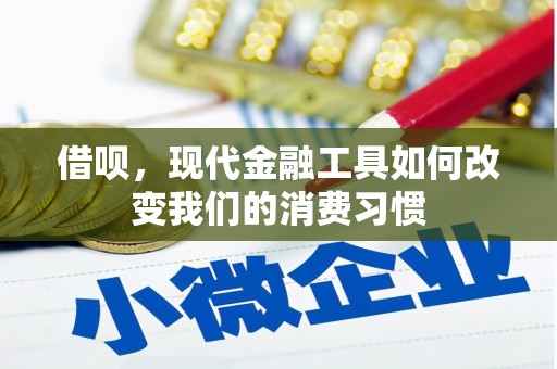 繁昌借呗，现代金融工具如何改变我们的消费习惯