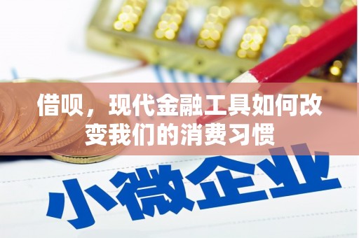 繁昌借呗，现代金融工具如何改变我们的消费习惯