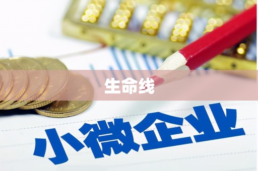 繁昌生命线