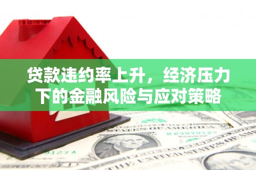 繁昌贷款违约率上升，经济压力下的金融风险与应对策略