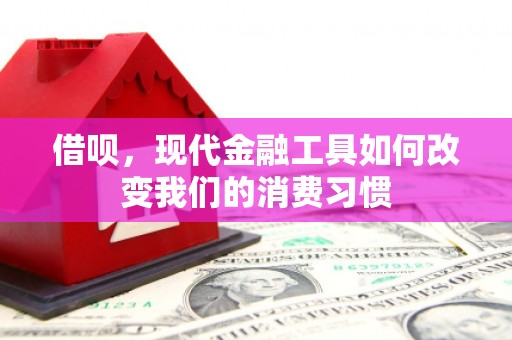 繁昌借呗，现代金融工具如何改变我们的消费习惯