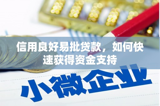 繁昌信用良好易批贷款，如何快速获得资金支持