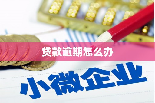繁昌贷款逾期怎么办