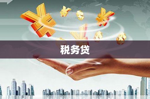 繁昌税务贷