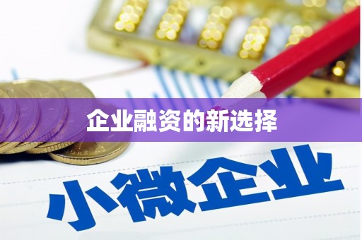 繁昌企业融资的新选择
