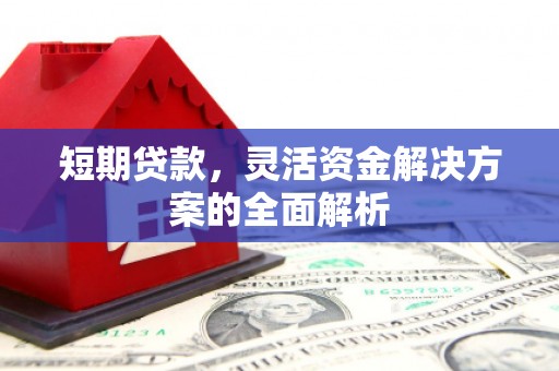 繁昌短期贷款，灵活资金解决方案的全面解析
