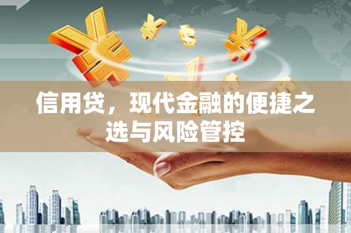 繁昌信用贷，现代金融的便捷之选与风险管控