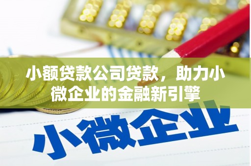 繁昌小额贷款公司贷款，助力小微企业的金融新引擎