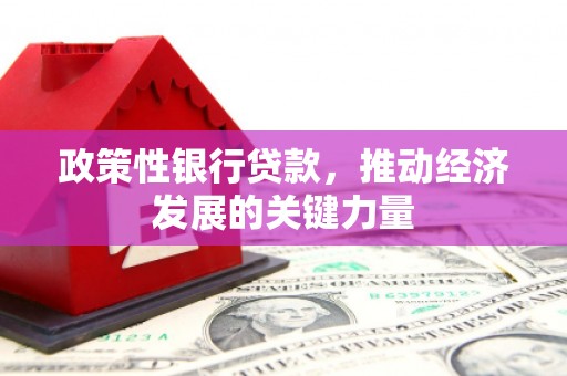 繁昌政策性银行贷款，推动经济发展的关键力量