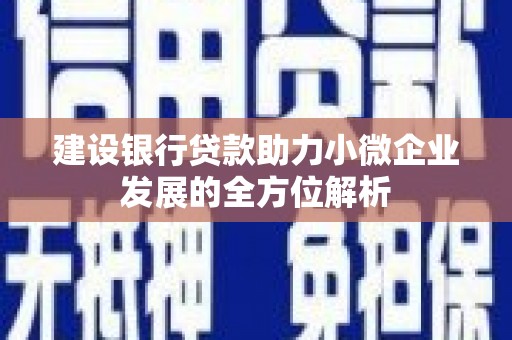 繁昌建设银行贷款助力小微企业发展的全方位解析