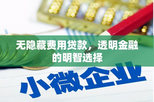 繁昌无隐藏费用贷款，透明金融的明智选择