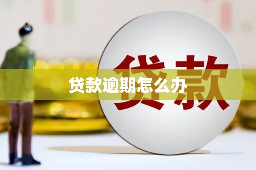繁昌贷款逾期怎么办
