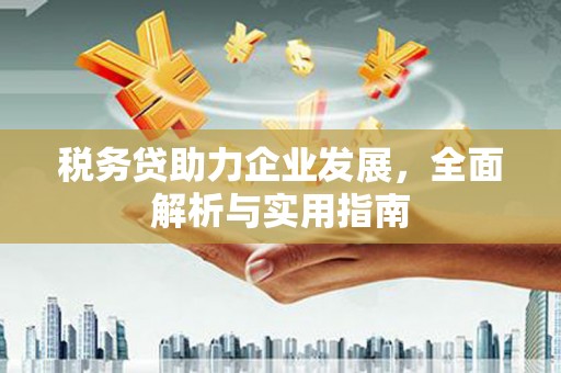繁昌税务贷助力企业发展，全面解析与实用指南