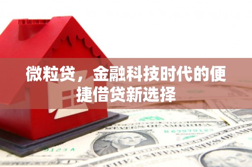 繁昌微粒贷，金融科技时代的便捷借贷新选择