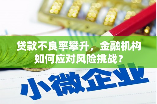 繁昌贷款不良率攀升，金融机构如何应对风险挑战？