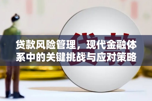 繁昌贷款风险管理，现代金融体系中的关键挑战与应对策略