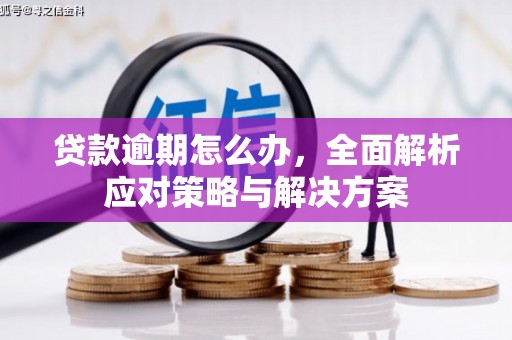 繁昌贷款逾期怎么办，全面解析应对策略与解决方案