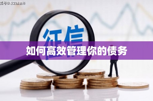 繁昌如何高效管理你的债务