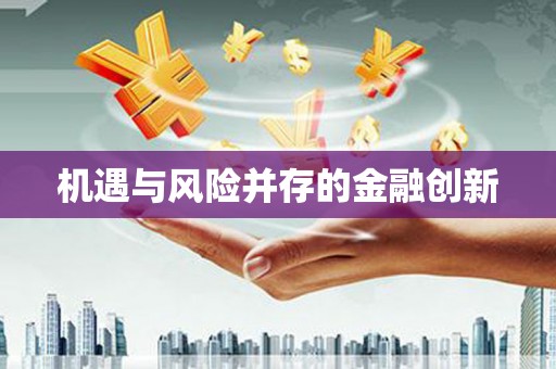 繁昌机遇与风险并存的金融创新