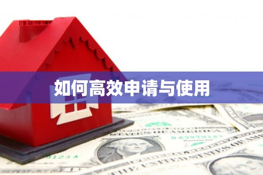 繁昌如何高效申请与使用