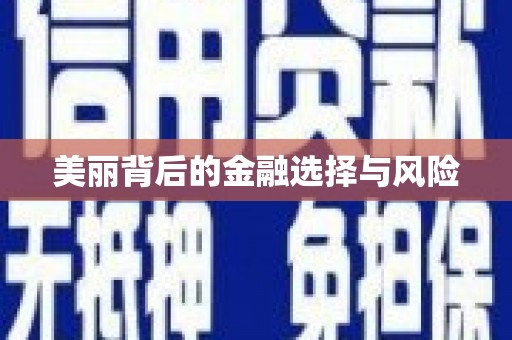 繁昌美丽背后的金融选择与风险