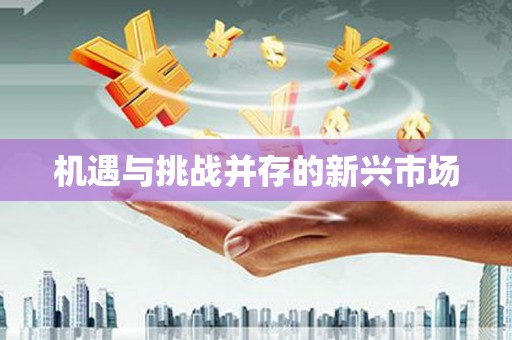 繁昌机遇与挑战并存的新兴市场