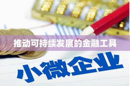 繁昌推动可持续发展的金融工具