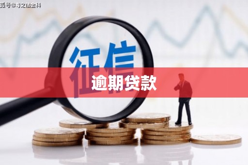 繁昌逾期贷款